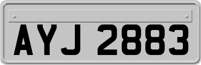 AYJ2883