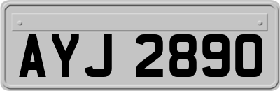 AYJ2890