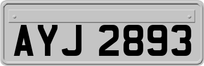 AYJ2893