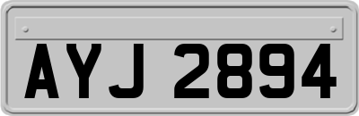 AYJ2894
