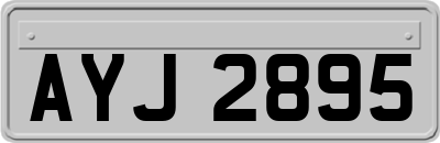 AYJ2895