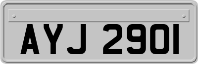 AYJ2901