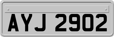 AYJ2902
