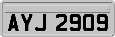 AYJ2909