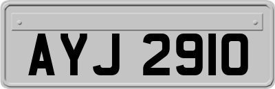 AYJ2910