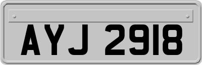 AYJ2918