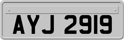 AYJ2919