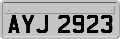 AYJ2923