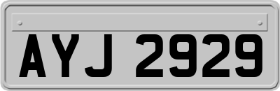 AYJ2929