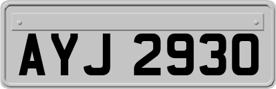 AYJ2930