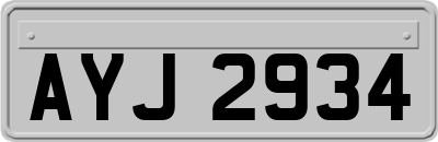 AYJ2934