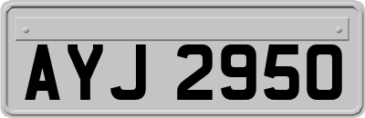 AYJ2950