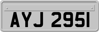 AYJ2951