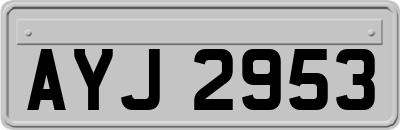 AYJ2953