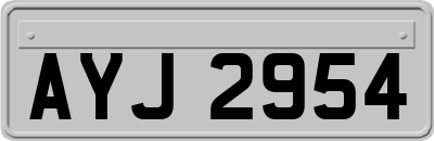 AYJ2954