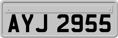 AYJ2955