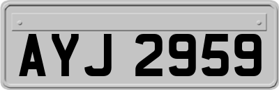 AYJ2959