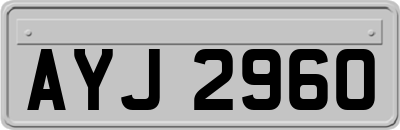 AYJ2960