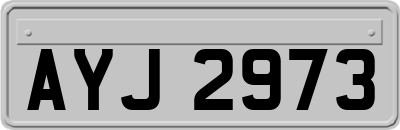 AYJ2973