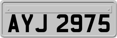 AYJ2975