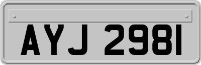 AYJ2981