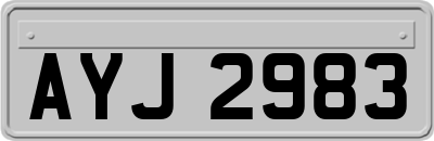 AYJ2983