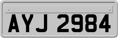 AYJ2984