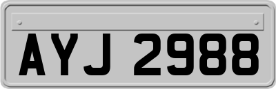 AYJ2988