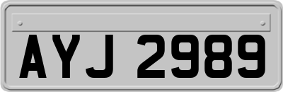AYJ2989