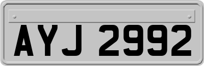 AYJ2992