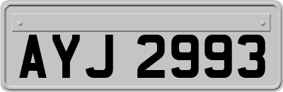 AYJ2993