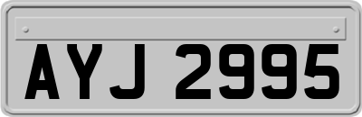 AYJ2995