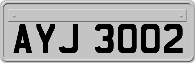 AYJ3002