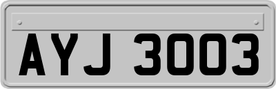 AYJ3003