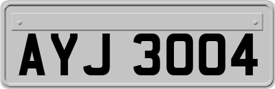 AYJ3004