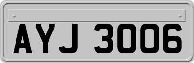 AYJ3006