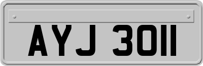 AYJ3011