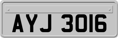AYJ3016