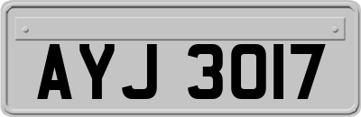 AYJ3017