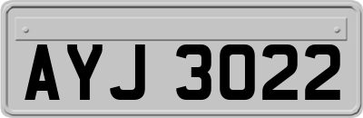 AYJ3022
