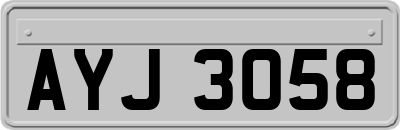 AYJ3058