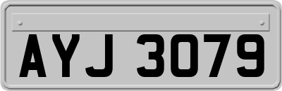AYJ3079