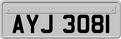 AYJ3081