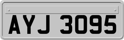 AYJ3095