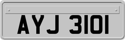AYJ3101