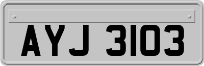 AYJ3103