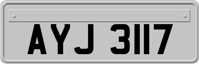 AYJ3117