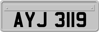 AYJ3119