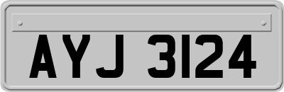 AYJ3124