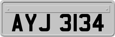 AYJ3134